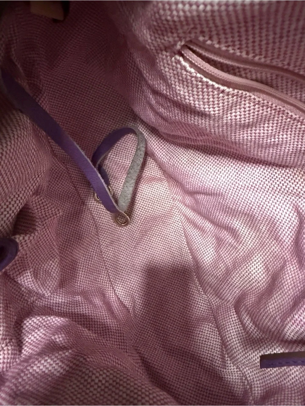 Dooney & Bourke Luna Purple Expandable Hobo Bag